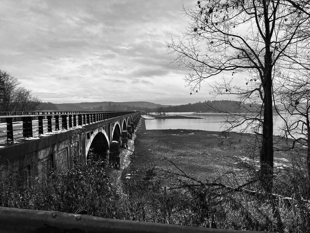 Professor Petrocelli - NYC Hypnosis